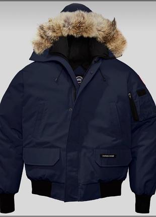 Пуховик, бомбер, canada goose (оригінал)