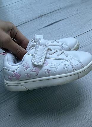 Кеди zara 24 розмір