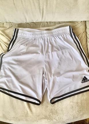 Спортивні шорти чоловічі adidas climate білі