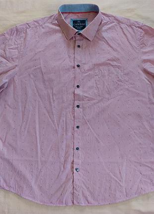 Мужская рубашка c&amp;a canda 4xl в полоску с коротким рукавом (100% хлопок)