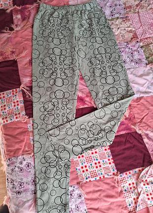 Лосіни оливкові