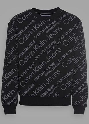 Худі calvin klein р,l 4