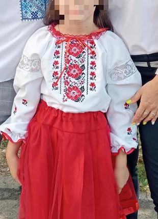 Вышитый набор, вышиванка, юбка, венок