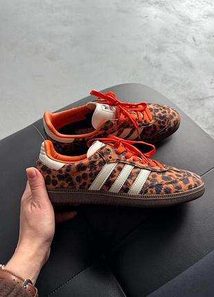 Adidas samba og leopard