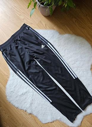 Спортивные штаны adidas на парня 11-12роков, рост 152см