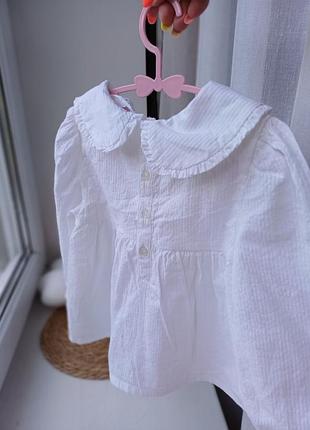 Блузка блуза 5