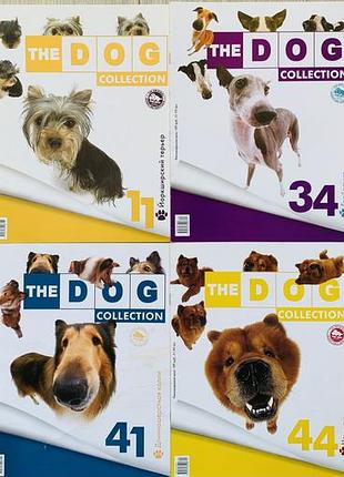 Журнали the dog collection