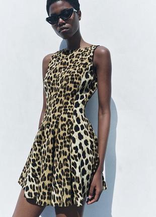 Сукня zara