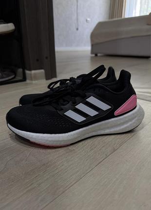 Кросівки adidas pureboost 22w