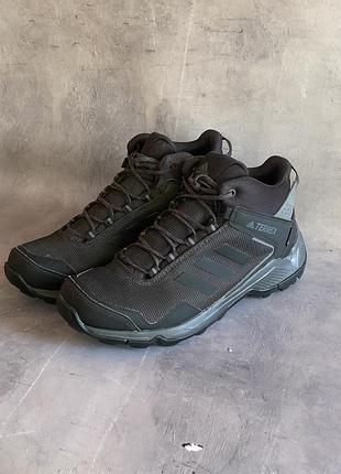 Чоловічі трекінгові кросівки adidas terrex