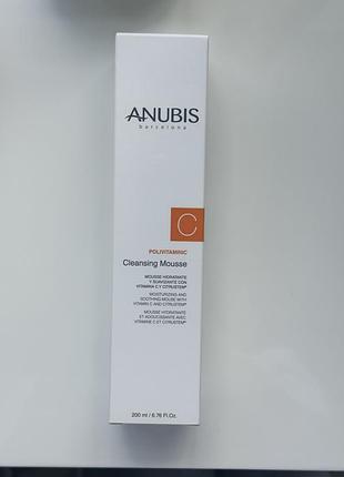 Очищаючий вітамінізуючий мус 200ml. anubis