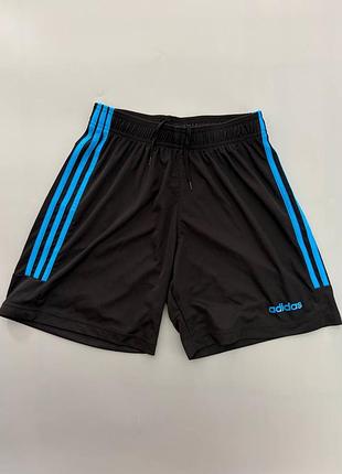 Мужские спортивные шорты adidas
