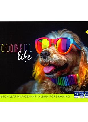 Альбом для рисования "colorful life" ап-0304-11, 30 листов
