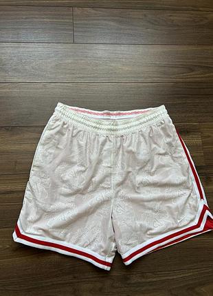 Чоловічі шорти nike jordan
