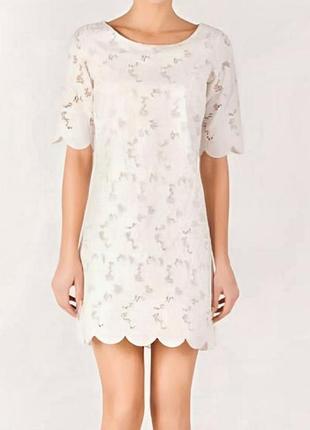 Сукня massimo dutti