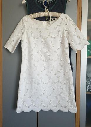 Сукня massimo dutti 4