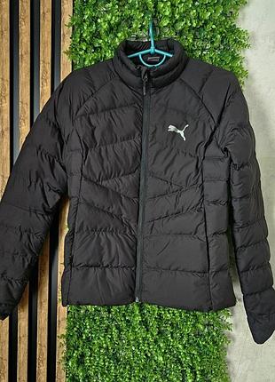 Оригинальный осень легкая куртка puma s
