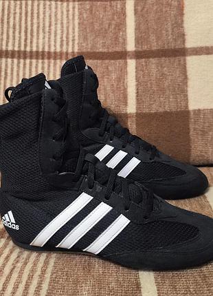 Борцівки боксерки взуття для залу adidas box hog