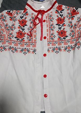 Вишиванка блуза