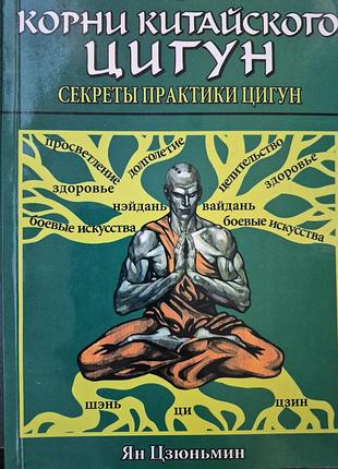 Корни китайского цигун. ян цзюньмин