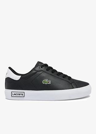 Нові шкіряні кеди, кросівки lacoste powercourt (оригінал)