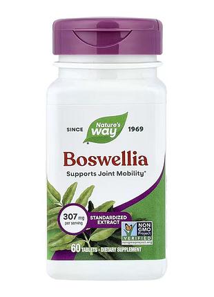Boswellia premium extract - 60 tabs
