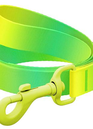 Поводок для собак из нейлона waudog nylon recycled, градиент, цветной карабин,s, ш 15 мм, дл 122 cм, салатовый