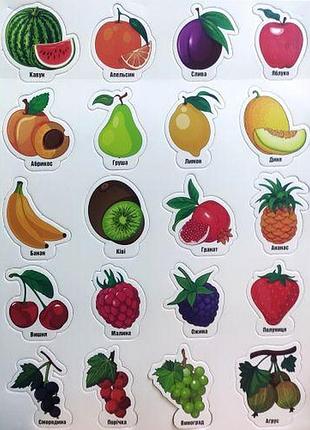 Набор магнитов "фрукти та ягоди" (укр)