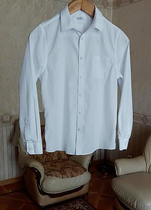 Шорти cotton