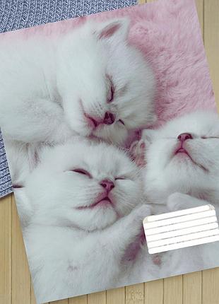 Тетрадь коты на скобе 12 листов косая линия (35816)
