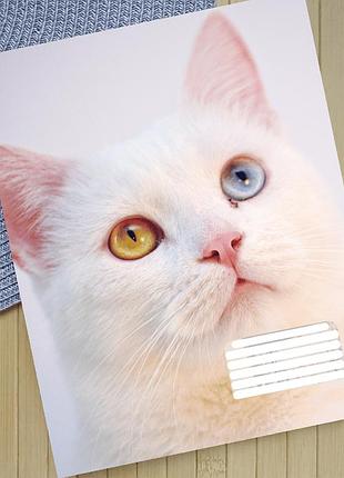 Тетрадь коты на скобе 12 листов косая линия (35815)
