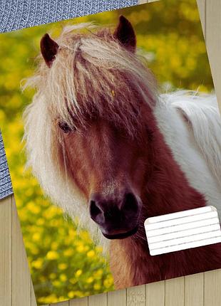 Тетрадь horse на скобе 12 листов косая линия (35228)