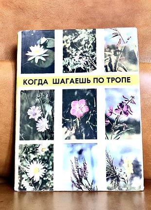 | когда шагаешь по тропе | борис тимофеев |