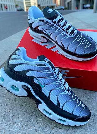 Кроссовки nike tn+