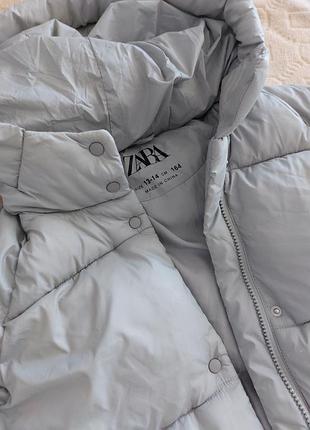 Кутка зимова zara