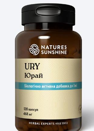 Юрай нсп