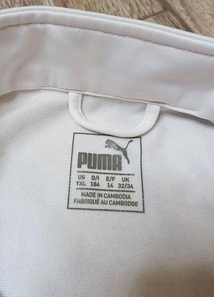 Зепкая puma олимпийка, кофта, куртка 5