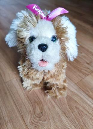 Интерактивный йорк furreal friends hasbro собачка ходьба, милое щенок