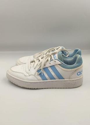 Кожаные кроссовки сникерсы adidas hoops оригинал, размер 40