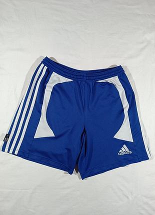 (l) adidas шорты climalite спортивные синие