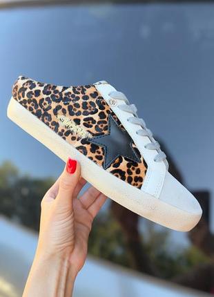 Кеди golden goose