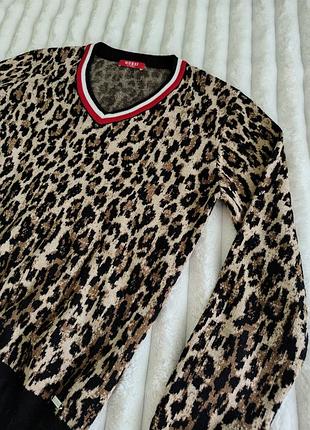 Світшот, кофта