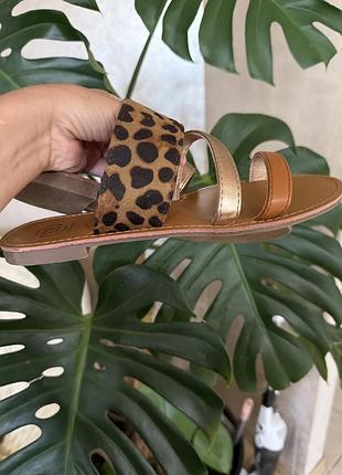 Босоножки , шлепки erynn paris shoes leopard