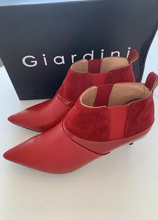 Жіночі ботильйони, красного кольору, бренд giardini, натуральна шкірі і замша, розмір 38, висота підбора 6 см