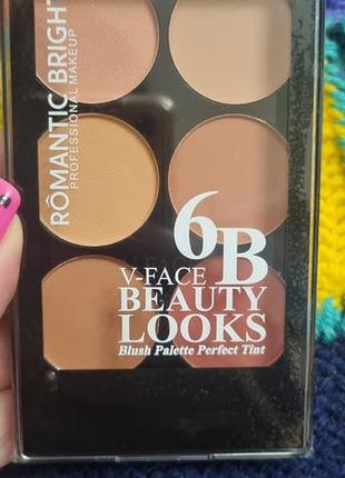 Палетка для макияжа лица romantic bright v-face beauty looks blush palette perfect tint (модель с 6 оттенками)