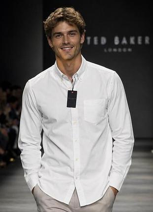 Рубашка мужская ted baker белая s/m oxford