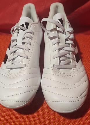 Белые регбойные буцы adidas