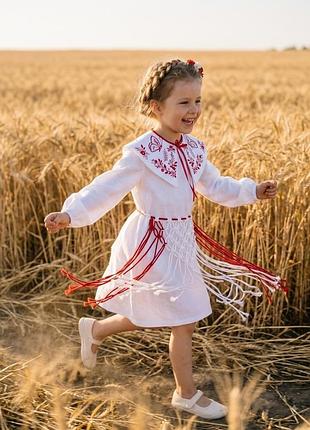 Набір сукня + комірець