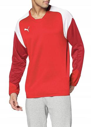 Олимпийка детская puma training sweat
