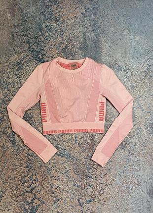 Бренд puma